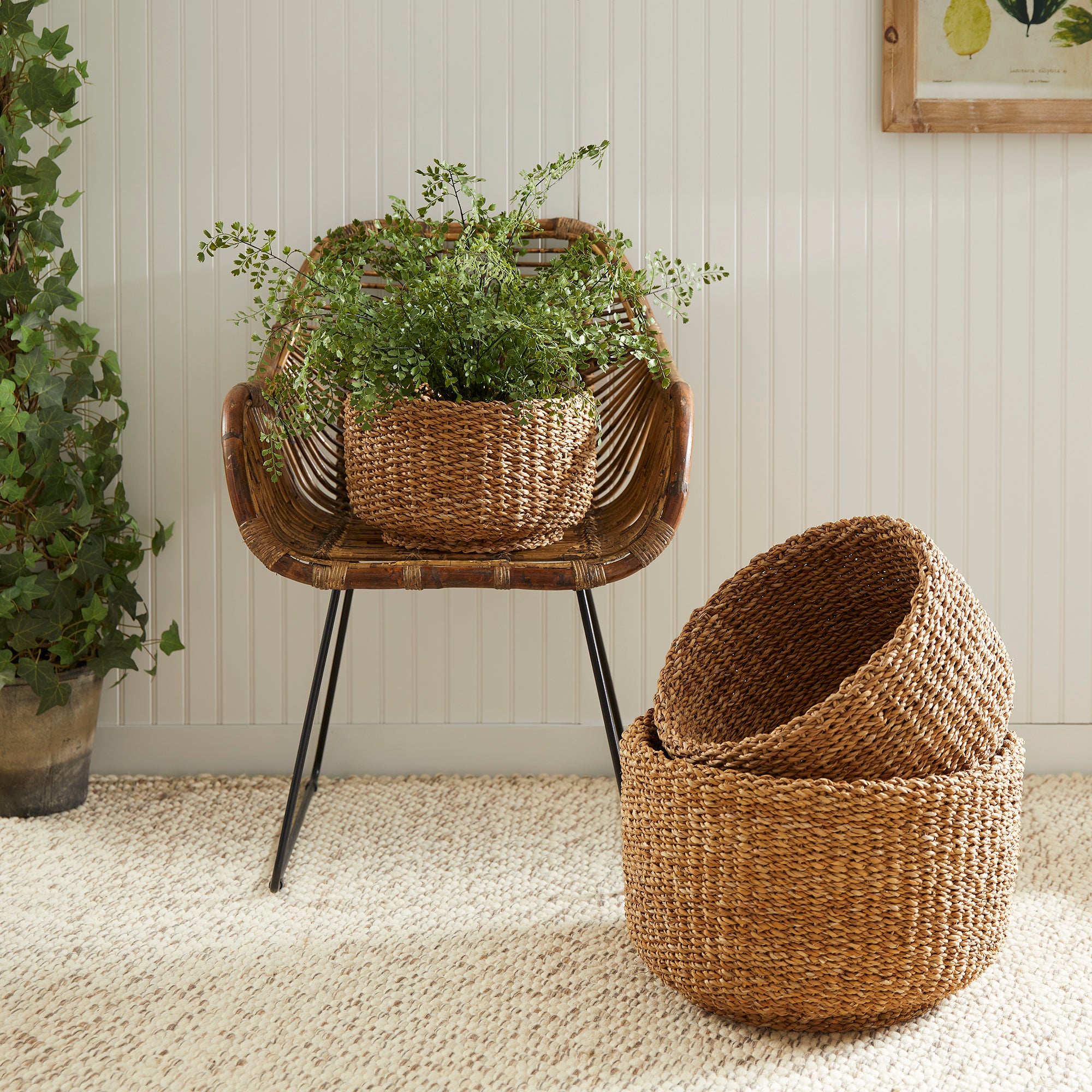 SEAGRASS CYLINDRICAL BASKETS, SET OF 3 - view 3