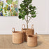 SEAGRASS ROUND BASKETS WITH LONG HANDLES, SET OF 3 - view 2