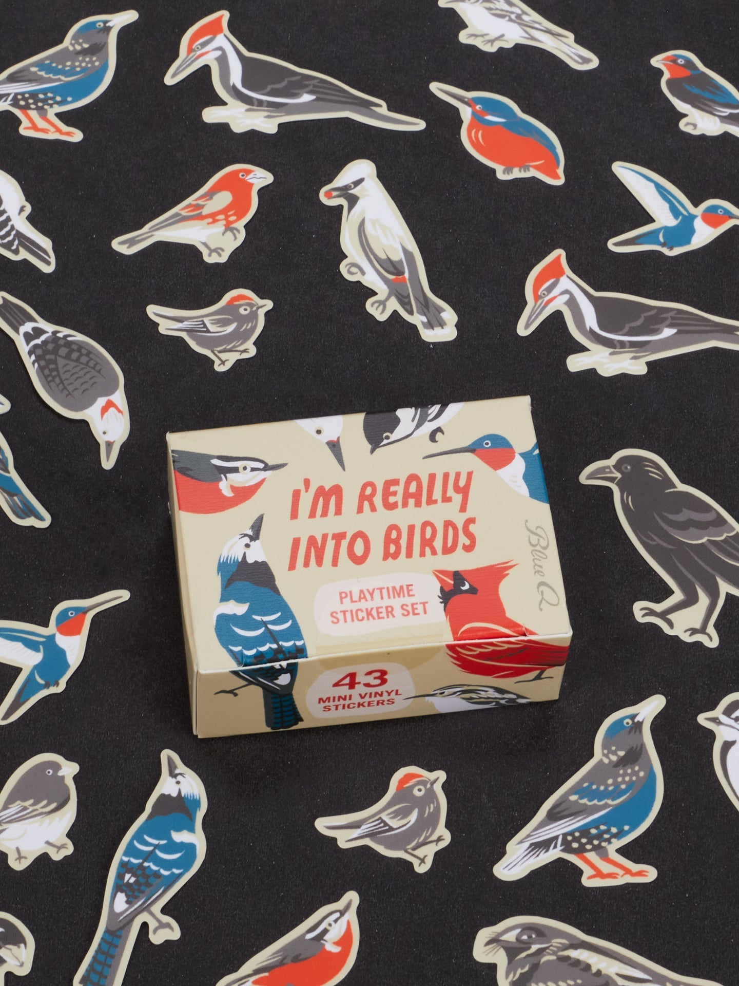 I'm Really Into Birds Playtime Sticker Set - A. Dodson's