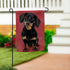Pet Central Photo Dogs, Dachshund Suede Garden Flag
