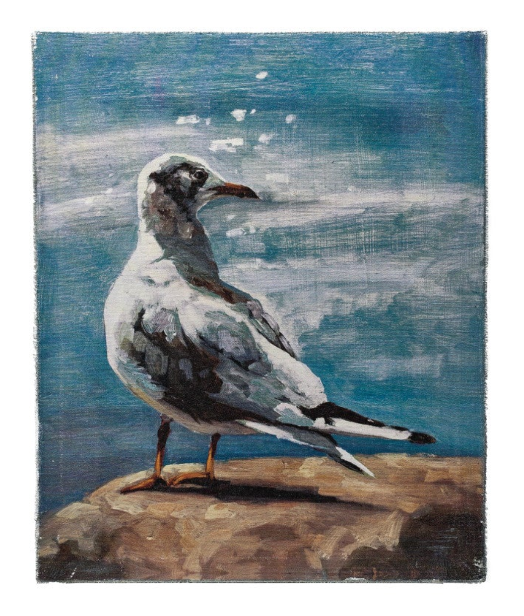 Canvas Wall Décor w/ Seagull, 2 Styles