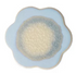 Stoneware Flower Shaped Trivet/Coaster