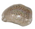 5"L Ceramic Oyster Dish with Gold