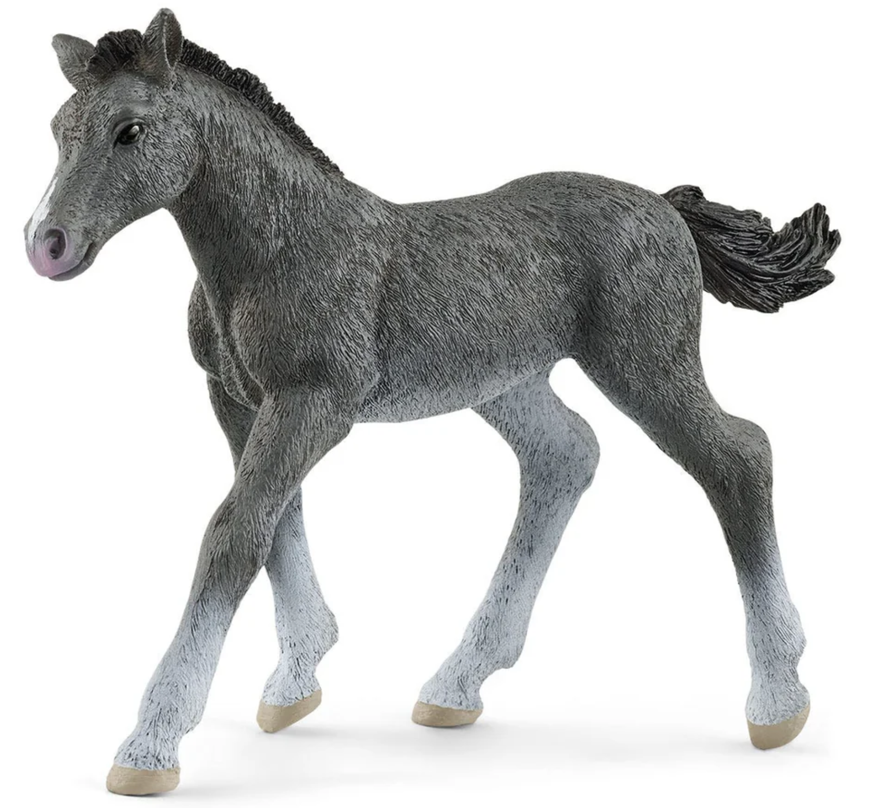 TRAKEHNER FOAL BY SCHLEICH