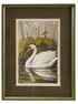 Wood Framed Glass Wall Decor with Swan & Mat, 2 Styles