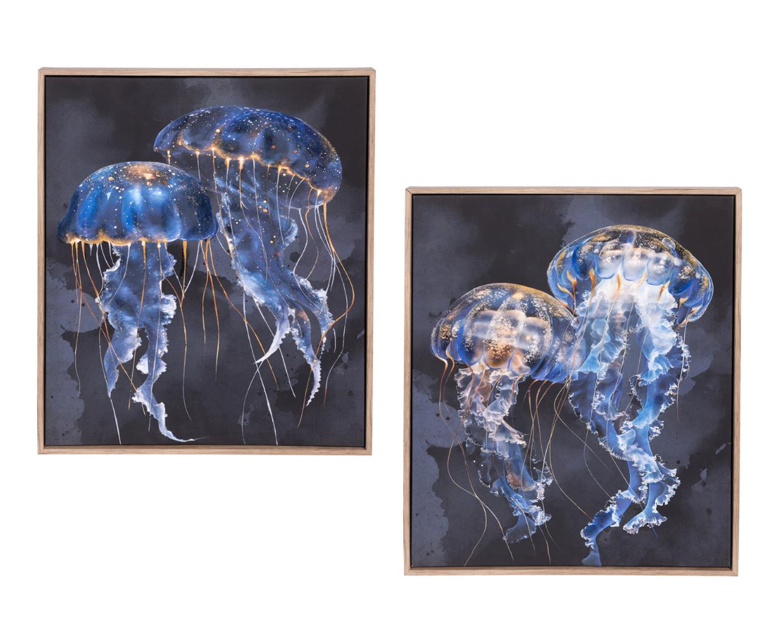 Jellyfish with Frame