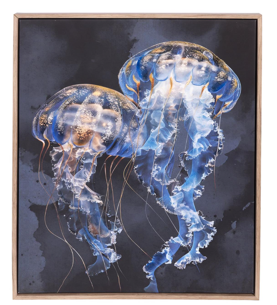 Jellyfish with Frame
