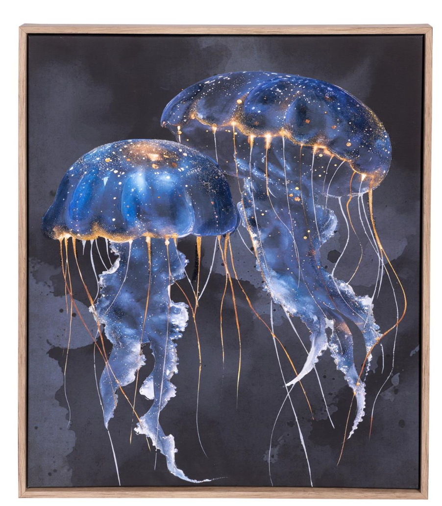 Jellyfish with Frame