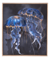 Jellyfish with Frame