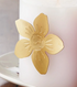 Fall Botanical Candle Pin