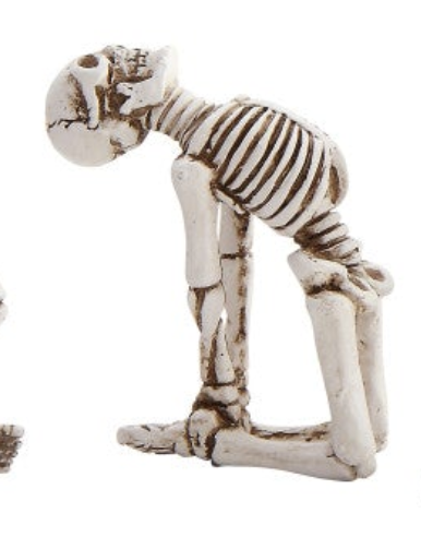 Skeleton in Yoga Pose, 5 Styles