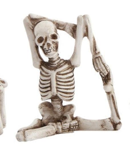 Skeleton in Yoga Pose, 5 Styles