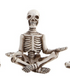 Skeleton in Yoga Pose, 5 Styles