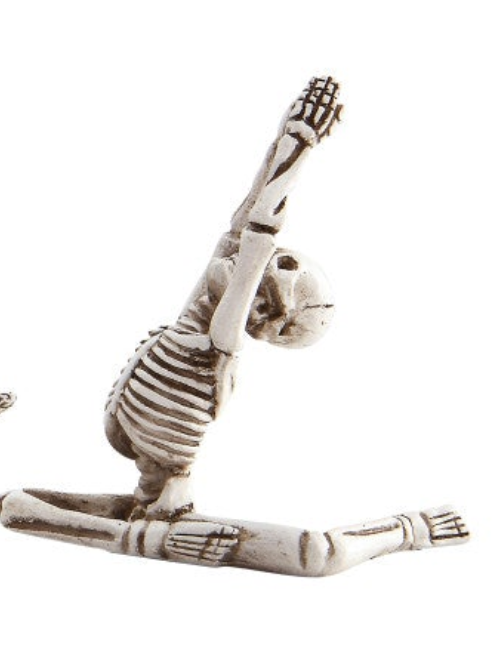 Skeleton in Yoga Pose, 5 Styles
