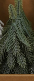 Faux Evergreen Trees with Natural Wood Slice Bases