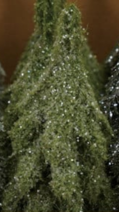 Faux Evergreen Trees with Natural Wood Slice Bases