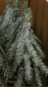 Faux Evergreen Trees with Natural Wood Slice Bases
