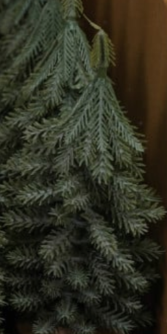 Faux Evergreen Trees with Natural Wood Slice Bases
