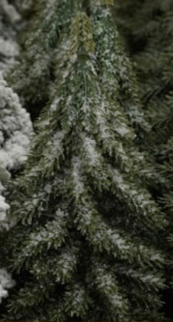 Faux Evergreen Trees with Natural Wood Slice Bases