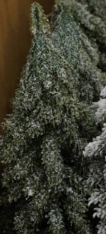 Faux Evergreen Trees with Natural Wood Slice Bases