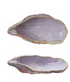Stoneware Oyster Shell Shaped Dish, 4 Colors
