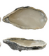 Stoneware Oyster Shell Shaped Dish, 4 Colors