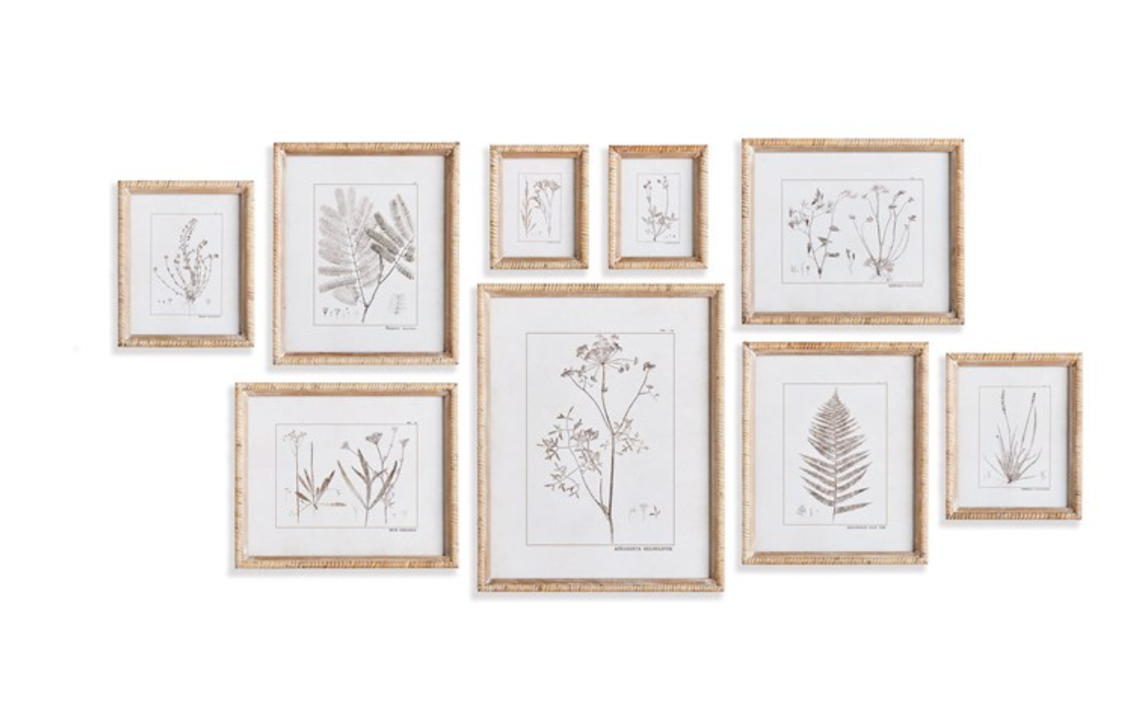 BOTANICAL STUDY IN SEPIA, SET OF 9 BY NAPA HOME & GARDEN - A. Dodson's