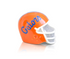 NORA FLEMING UNIVERSITY OF FLORIDA HELMET MINI A301 - A. Dodson's