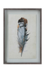 Framed Wall Decor with Feather, 2 Styles
