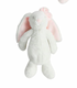 Mini Bunny Plush Bunnies