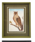Wood Framed Glass Wall Decor with Birds & Botanicals