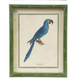 Wood Framed Glass Wall Decor with Birds & Botanicals