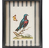 Wood Framed Glass Wall Decor with Birds & Botanicals
