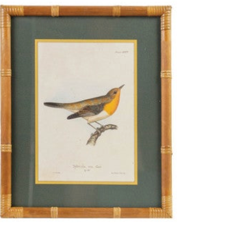 Wood Framed Glass Wall Decor with Birds & Botanicals