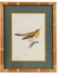 Wood Framed Glass Wall Decor with Birds & Botanicals