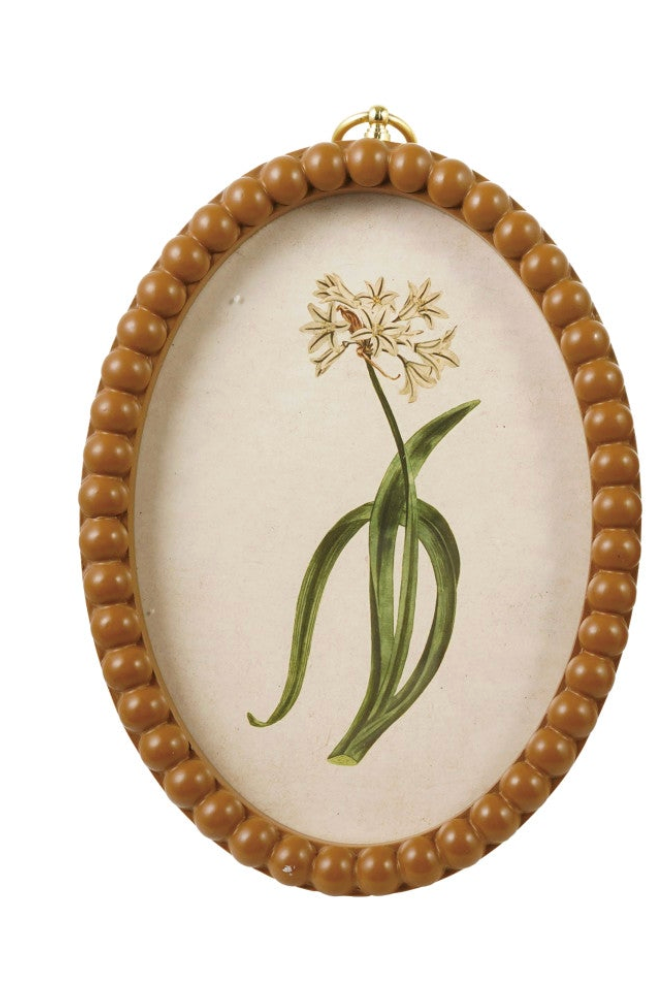 Framed Glass Wall Decor with Gold Ring Hanger, 2 Styles