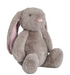 Plush Bunny Pal