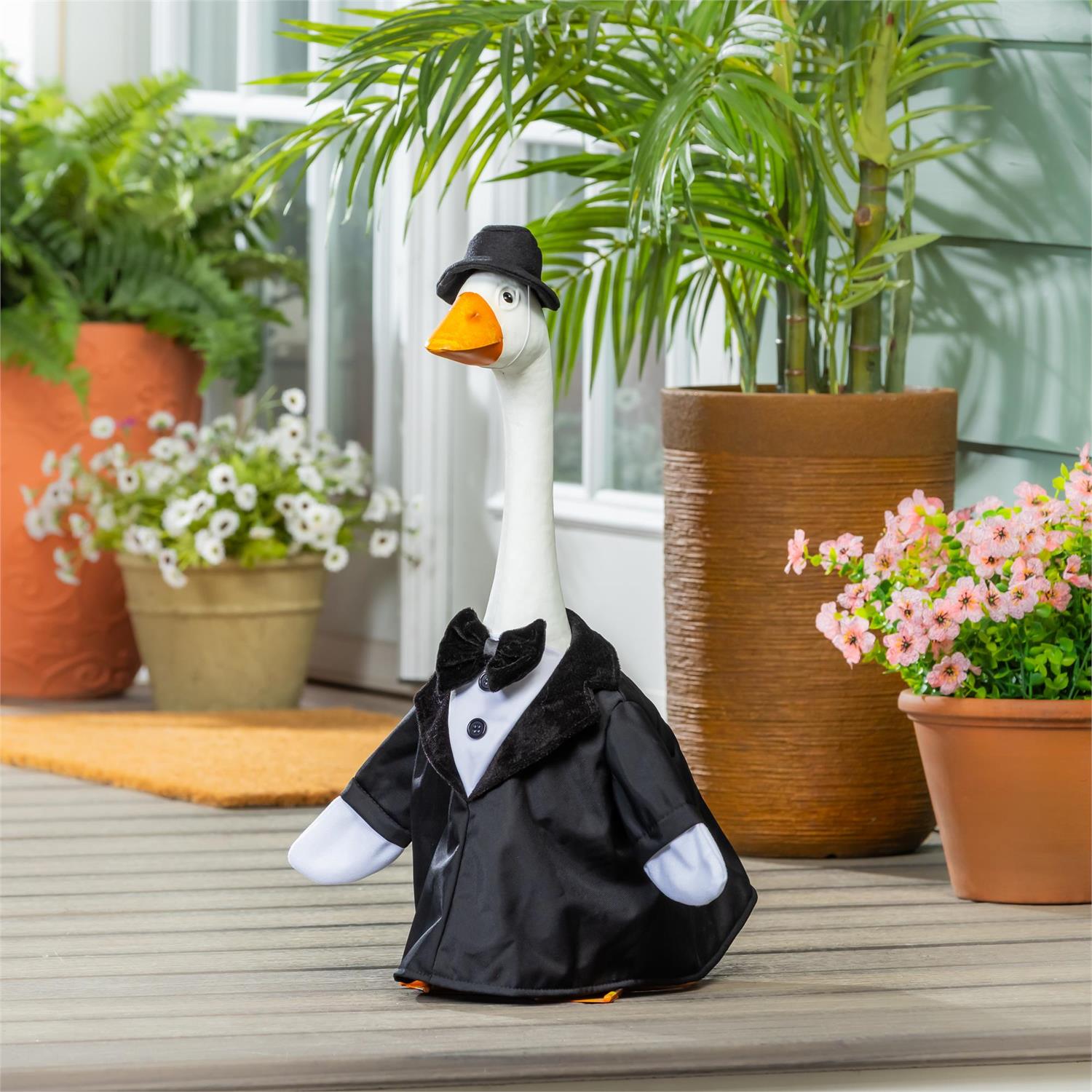 Groom For Giddy The Porch Goose