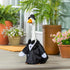 Groom For Giddy The Porch Goose