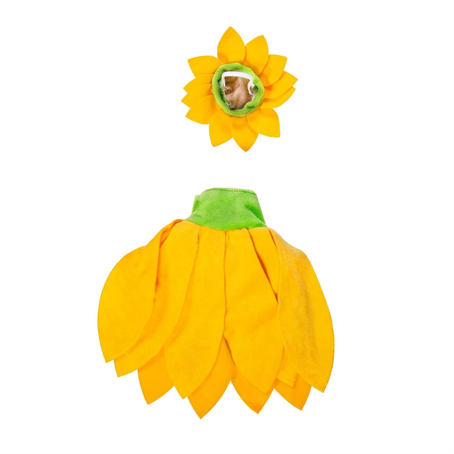 Sunflower Radiance For Giddy The Porch Goose