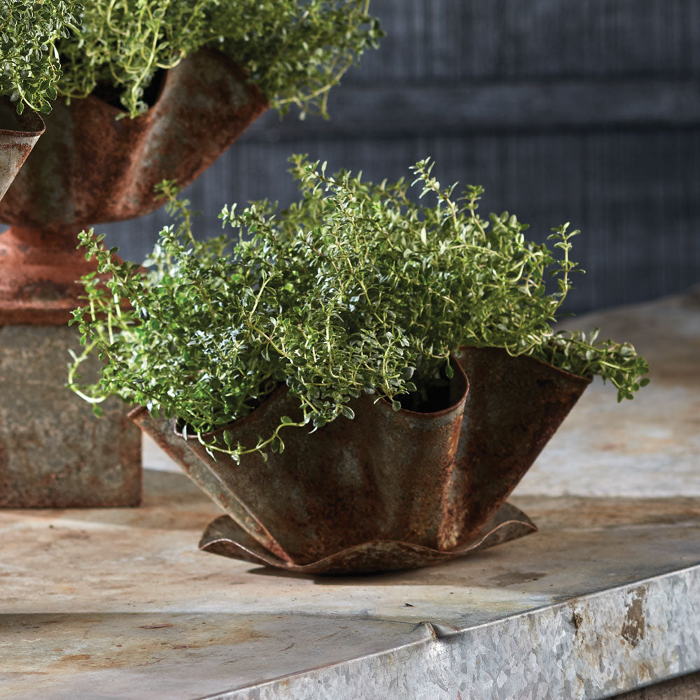 GALVANIZED HANDKERCHIEF POT WITH SAUCER - view 2