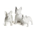 Three Dog Night, Set Of 3