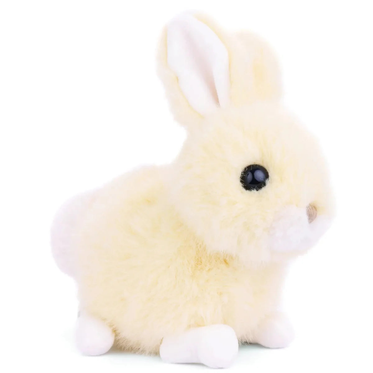 Baby Bunny - Vanilla BY BUKOWSKI BEARS