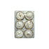 Resin Convex Magnets on Metal Card with Shells, Set of 6