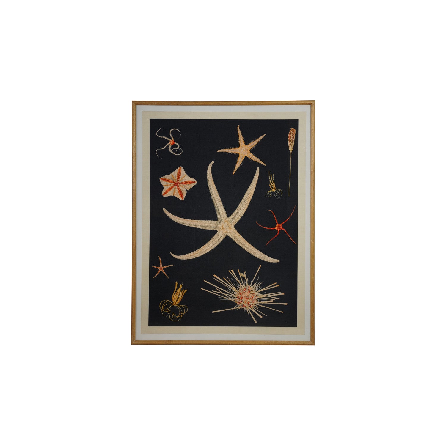 Wood Framed Glass Wall Decor with Sea Life, Black and Multi Color