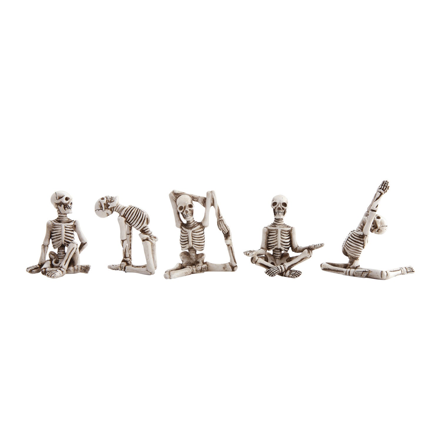 Skeleton in Yoga Pose, 5 Styles by Creative Co-Op