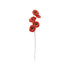 Feather Flower Stem, Coral Color