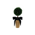 Dried Boxwood Tree in Terra-cotta Pot with Navy Color Velvet Bow