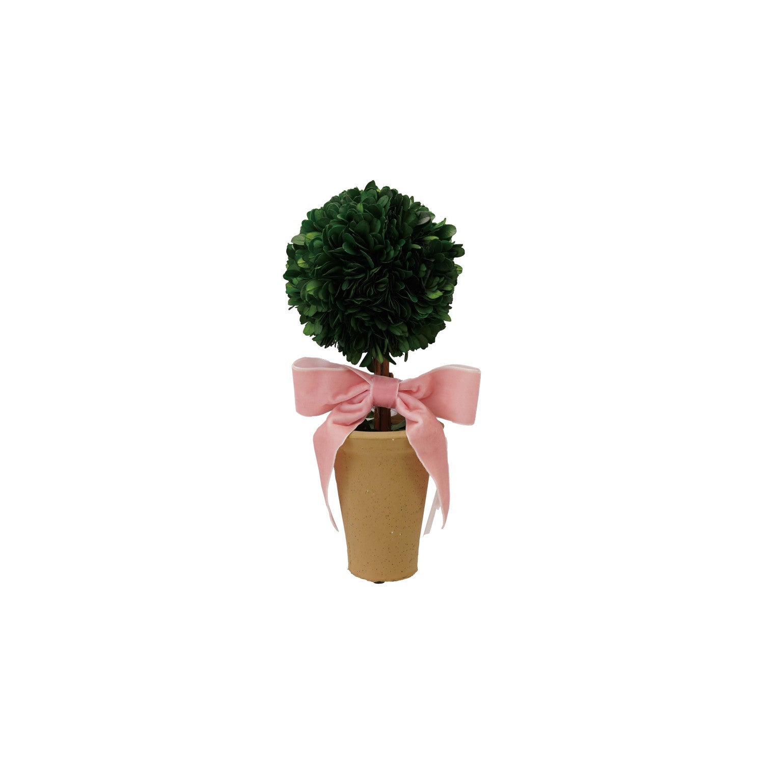 Dried Boxwood Tree in Terra-cotta Pot with Pink Velvet Bow by Creative Co-Op
