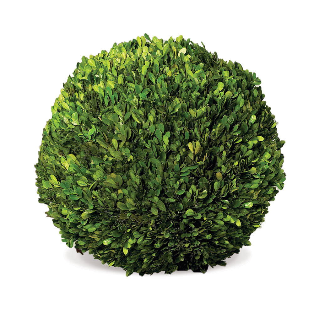 BOXWOOD TOPIARIES IN POTS, SET OF 8